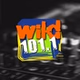 Wild 101.1 - KWYD logo