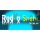 Radio Snehi logo