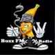 Buzz FM logo