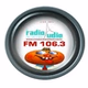 Radio Audio logo