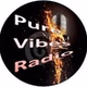 Pure Vibes Radio logo