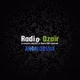 Radio Dzair - Andaloussia logo