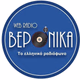 Logo de Radio Veronica