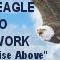 Logo de The Eagle Radio Network