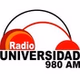 Universidad Nacional San Agustín logo