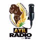 Logo de AYIL RADIO