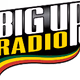 Logo de BigUpRadio - Roots