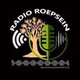 Radio Roepsein logo