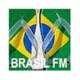 Logo de Brasil FM