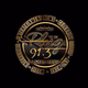 Logo de 91.3 The Plug Radio