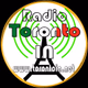 Logo de Toronto Italian Network - Radio Toronto IN