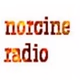 Norcine Radio logo