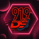Logo de Radio Del Sur 91.9