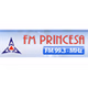 Rádio FM Princesa 99.3 logo