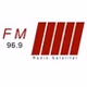 Radio Satelital logo
