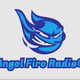 Logo de Angel Fire Radio - All Hit Angel Fire.FM