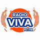 Logo de Radio VIVA 91.1