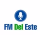 FM Del Este 93.7 logo