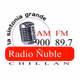 Logo de Radio Ñuble