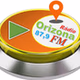 Rádio Orizona Fm 87,9 logo
