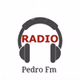 Radio Pedro Fm logo