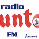 Logo de Radio PuntoFM