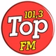 Top FM 101.3 logo