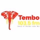 Tembo 103.5 Fm logo