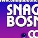 Radio Snaga Bosne logo