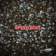 Logo de Speed Radio - Speed Noel
