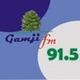 Gamji Fm 91.5 logo