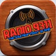 RADIO 9311 logo