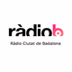 Logo de RCB
