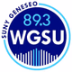 Logo de 89.3 WGSU  Geneseo's Voice of the Valley