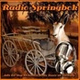 Radio Springbok Germany logo