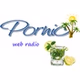 Pornic Radio logo