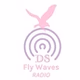 DS Fly Waves Radio logo