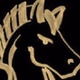 NightRideUSA logo