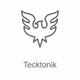 Logo de Radio Record - Tecktonik
