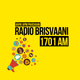 Logo de Radio Brisvaani