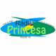Rádio Princesa 104.9 FM logo