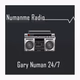 Logo de Numanme Radio