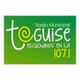 Radio Municipal de Teguise logo
