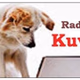 Logo de Radio Kuva