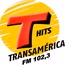 Transamérica Vale logo
