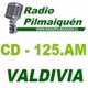 Logo de Radio Pilmaiquen - 98.9 FM