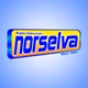 Nor Selva Radio logo