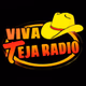 Viva Teja Radio logo