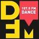 DFM Nizhnekamsk logo