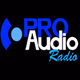 Logo de Pro Audio - Back In Times